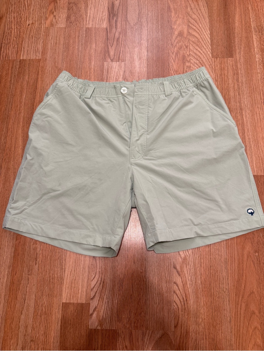 Men's Light Sage Casual Shorts